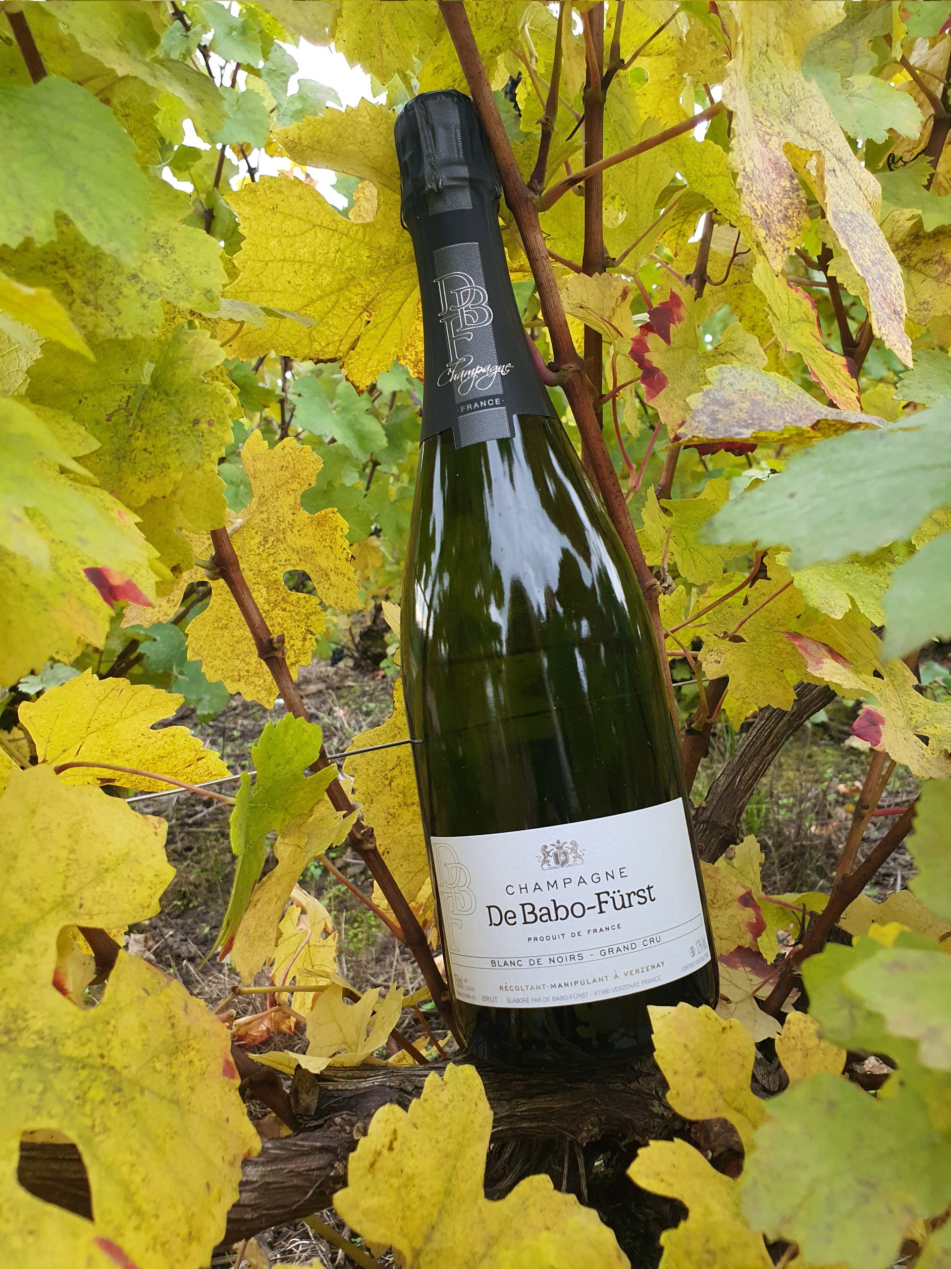 Vente directe producteur de champagne Reims : Blanc de Noir Grand Cru  100% Pinot Noir Parcellaire 