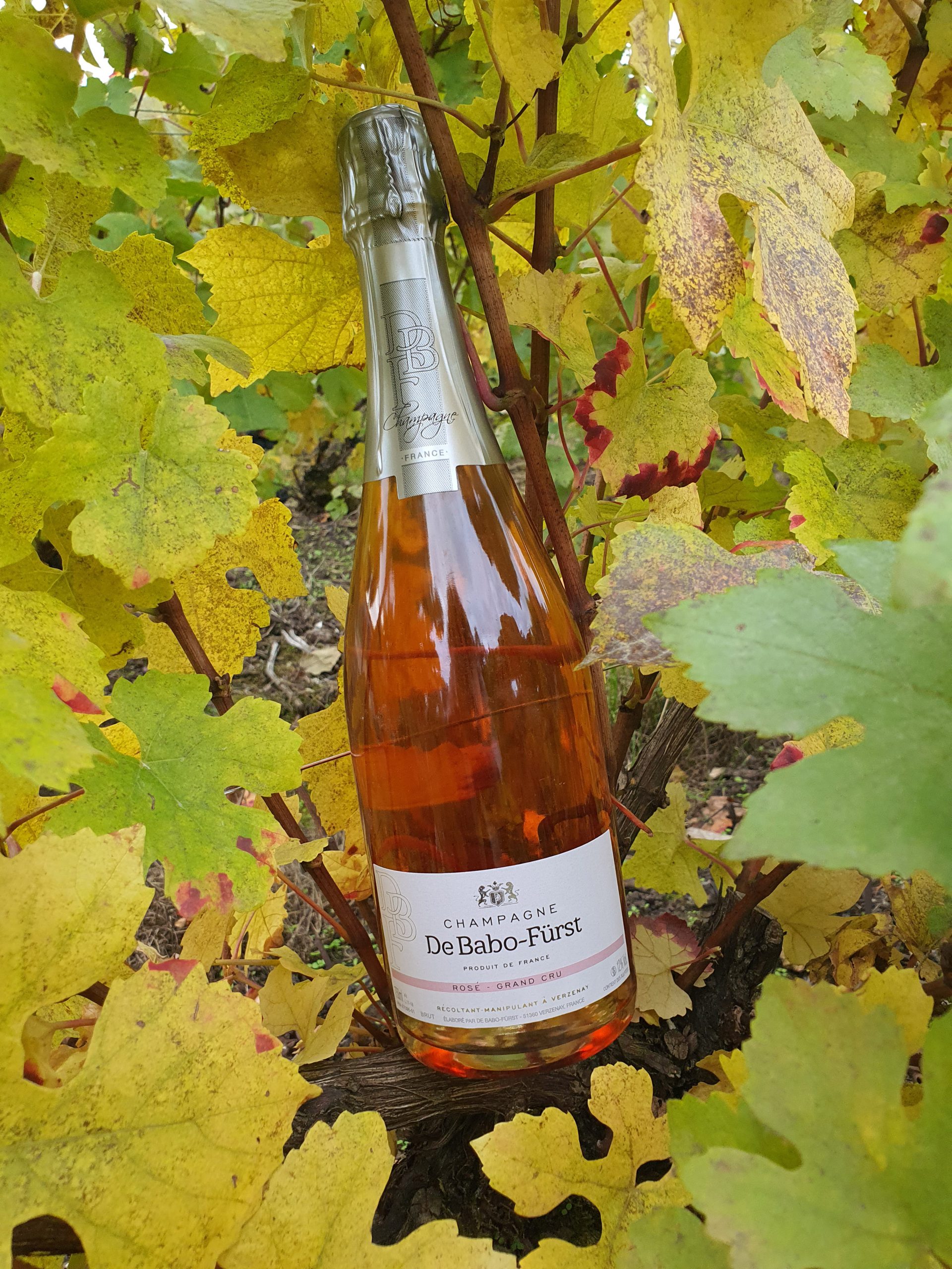 Vente directe producteur de champagne Reims : Cuvée Rosé Grand Cru  Cuvée Brut + 8% de Coteau Champenois